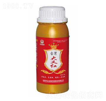 臺灣大又紅-大華墾