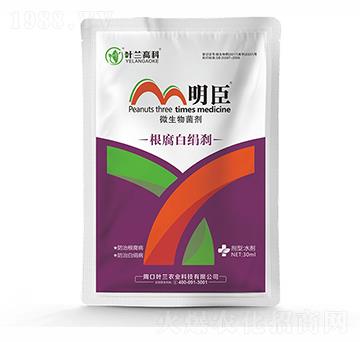 �����׽��x-����-�~�m�߿�