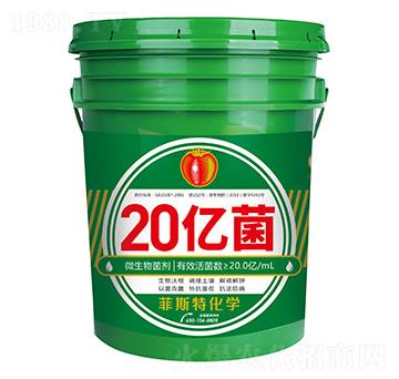 ΢�������-20�|��-��˹��