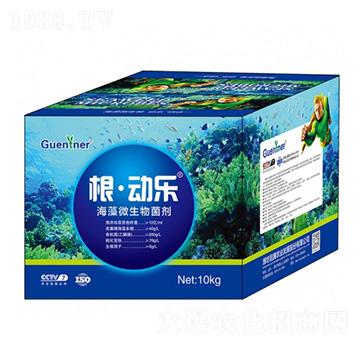 海藻微生物菌劑-根·動樂-昆騰農(nóng)業(yè)