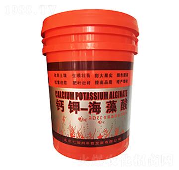 �}⛺�����-�߿���