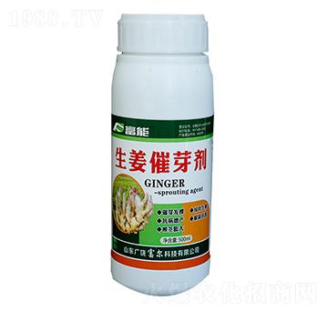 ������ѿ��-�����Ƽ�