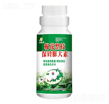 棉花整枝保鈴膨大素-富爾科技