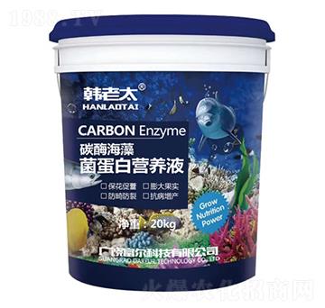 碳酶海藻菌蛋白營(yíng)養(yǎng)液-韓老太-富爾科技