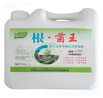 根·菌王-富爾科技