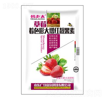 草莓著色膨大增紅靚果素-韓老太-富爾科技