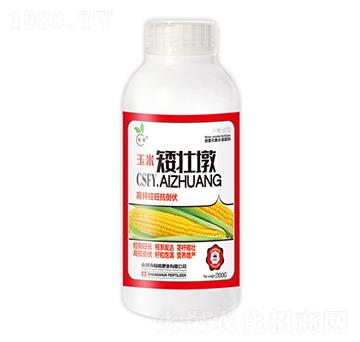 ���װ��Ѷ�-��˲