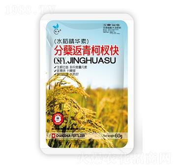 ˮ�����Y�����辿�-��˲