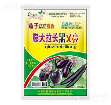 ����������L������-��˲