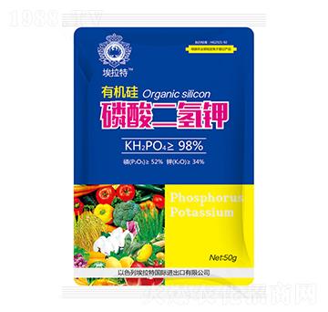 �ЙC����������-������-��˲