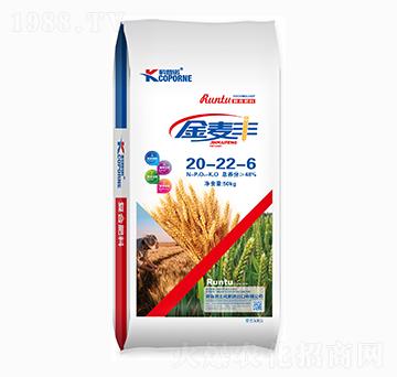 �ͺϷ���20-22-6-�����Z-����