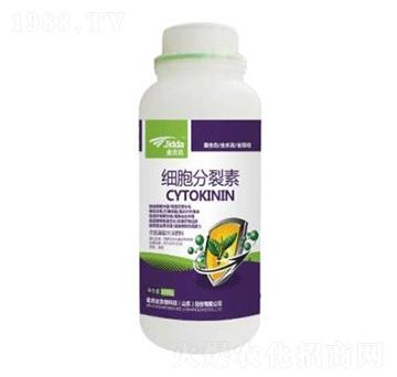 ����������-���_