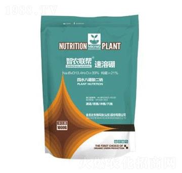 ������-���_