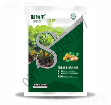 �������g(sh��)��Q����-ʥ���r(n��ng)�I(y��)