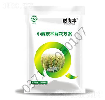 小麥技術(shù)解決方案-時尚豐-圣勤農(nóng)業(yè)