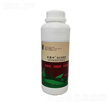 ���������-��ɫʯ�r(n��ng)�I(y��)