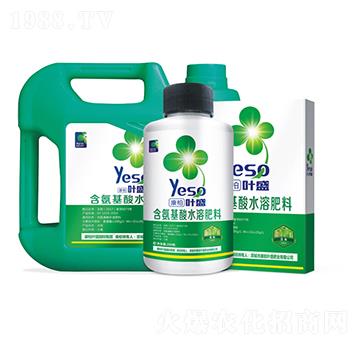 豆角專用含氨基酸水溶肥料-葉盛生物