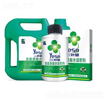 黃瓜專用含氨基酸水溶肥料-葉盛生物