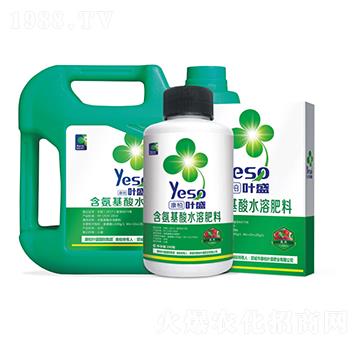 花卉專(zhuān)用含氨基酸水溶肥料-葉盛生物