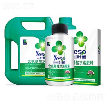 葡萄專用含氨基酸水溶肥料-葉盛生物