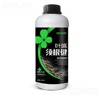 須根健-葉盛生物