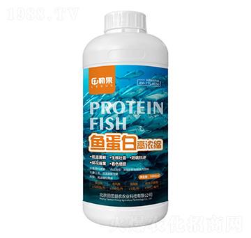 魚蛋白高濃縮-勒果-田田益農(nóng)