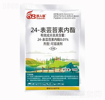 24-���|̦�؃�(n��i)��-��(gu��)