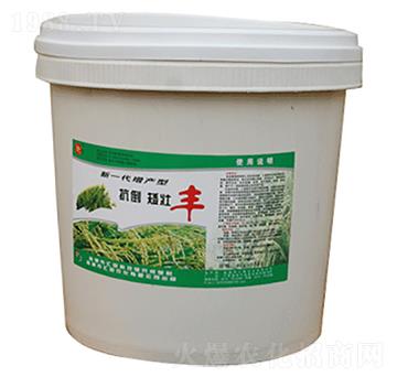 抗倒矮壯豐-匯豪農化