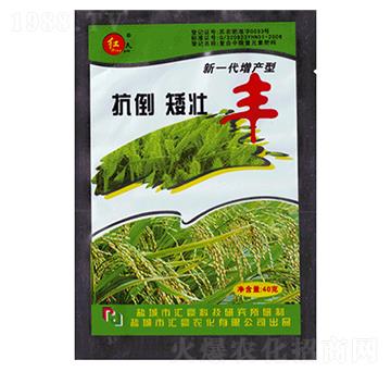 抗倒矮壯豐（袋）-匯豪農化