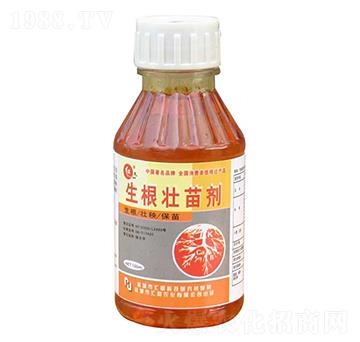 生根壯苗劑-匯豪農化