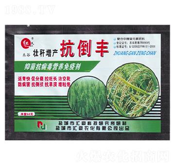 壯稈增產(chǎn)抗倒豐-匯豪農化