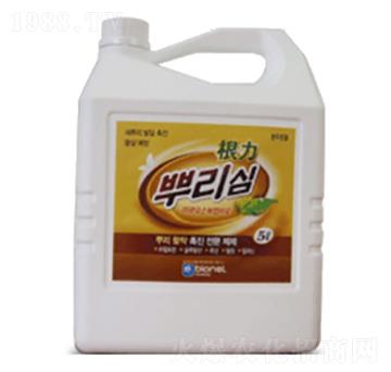 ����-��(y��u)��˼