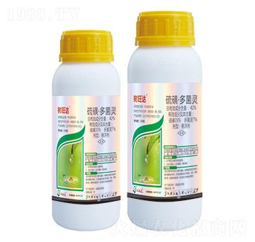 42%��ǡ�����`-��(sh��)���_(d��)-��(y��u)���_(d��)