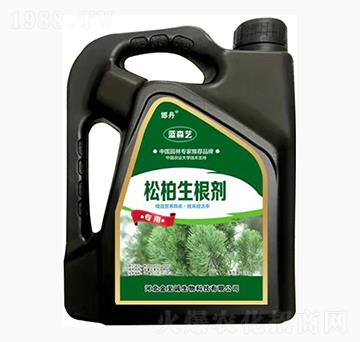 �ɰ�������-�{(l��n)ɭˇ-�����\