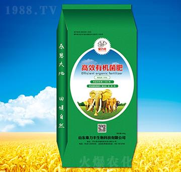 �ЙC(j��)����-�����S