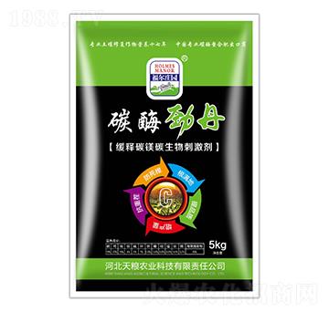 5kg̼ø�ŵ�-�����f�@-��Z�r�I(y��)