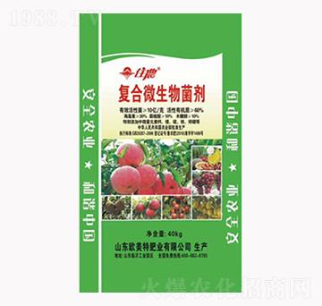 40kg�ͺ�΢�������-��������