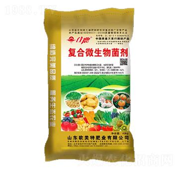 �ͺ�΢�������-��������