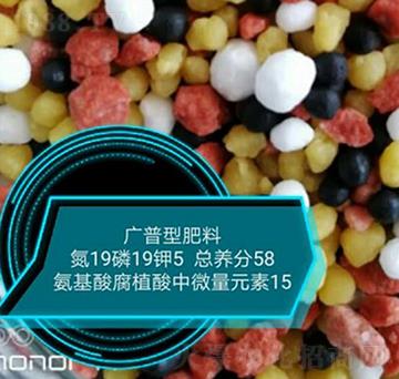 �����ḯֲ����΢��Ԫ��19-19-5-���r(n��ng)�r(n��ng)�I(y��)