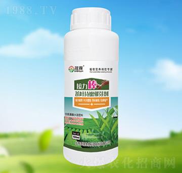 茶葉持嫩催芽劑-晟霖生物