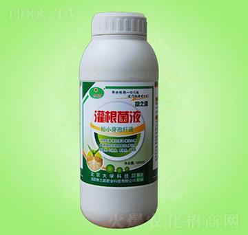 灌根菌液-物之源