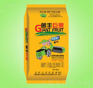 20kg菌豐巨果-物之源