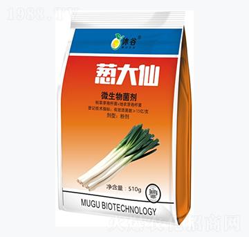 微生物菌劑-蔥大仙-沐谷生物