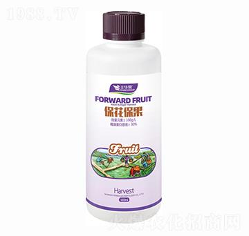 ����������-�S�A��-�S�A�ʘI(y��)