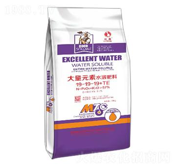 大量元素水溶肥料19-19-19+TE-沃盈生物