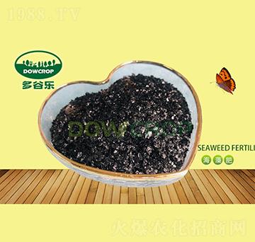 片狀海藻提取物-多谷樂