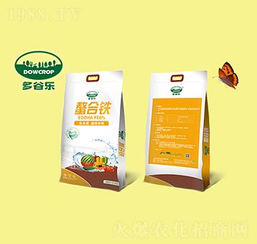 �����F-��Ș�