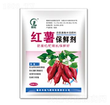 �t�����r���~���-���л���