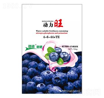 ������4-6-44+TE-����΢��-����