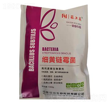 ���S�ù��-���ϻ�-��������